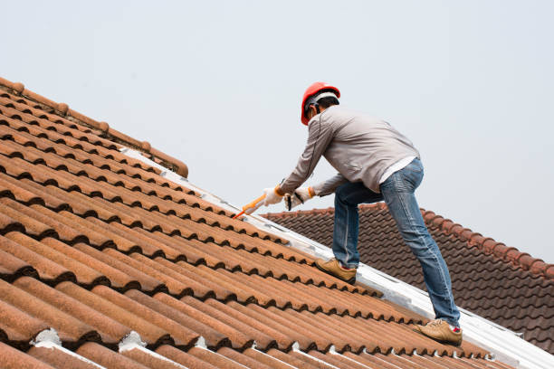 Amesti, CA Roofing service Company